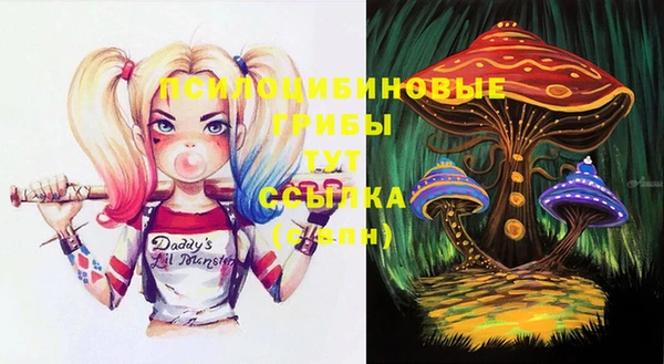метадон Ельня