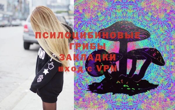 метадон Ельня
