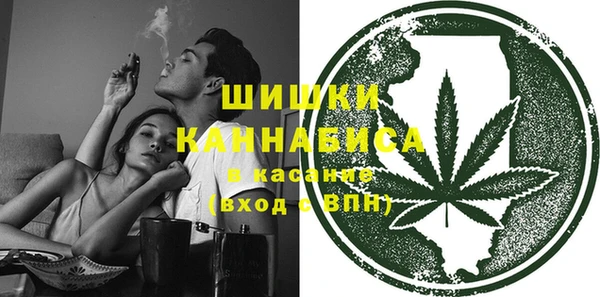 метадон Ельня